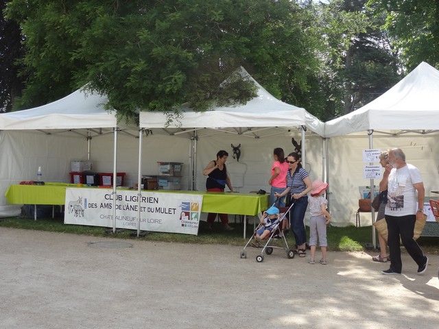 fete 2016 (123).jpg